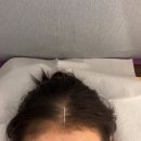 꽃 가루를 날려