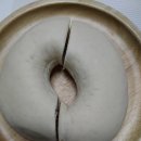 블루베리 편의점 | GS25편의점 블루베리번 내돈내산 솔직후기