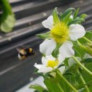 늘해랑농장 이미지