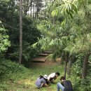 닥박골휴양림 이미지