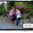 안강5리 이미지