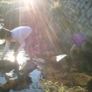 설리파도소리펜션 이미지