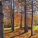 로하스대청공원 이미지