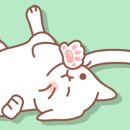 (주)펫톡 이미지