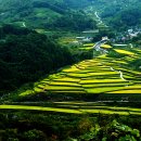 마천주유소 이미지