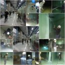 왕산모터스