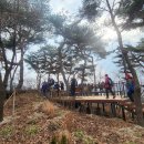 남산공원길1 이미지