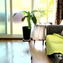 스테이 서종 이미지