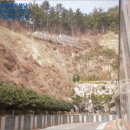 광양덕례초등학교 네이버블로그