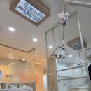 연세무지개치과의원 이미지