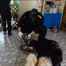 하림허브 이미지