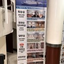 뉴일번지뽑기방 | ฅᐢ..ᐢ₎♡ 일본 여행 | 뉴카멜리아호 후쿠오카 배편 왕복 다인실 후기