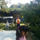 아곡농장 | 대구인근 알밤줍기체험 칠곡 푸른농장 다녀왔어요.