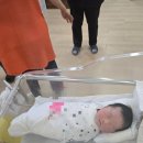 웰하이여성아동병원 네이버블로그