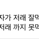 쉰시 먹방유튜버 글에; 이미지