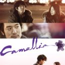 카멜리아 이미지