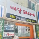 배달돼지예 이미지