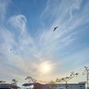 오션이니스프리 펜션 이미지