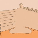 수정종합상사 이미지