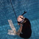 와이낫짐 | 서울 이색데이트 추천 와이낫다이브 잠실 프리다이빙