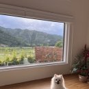 바테펜션 이미지