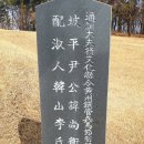 윤강선생묘 및 신도비 티스토리