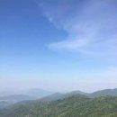 동정보이차 네이버블로그