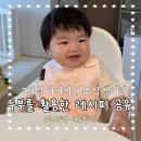 오늘은두부 | 정이두부 수제두부로 만드는 7개월 아기 이유식 자기주도식 레시피 4종 후기