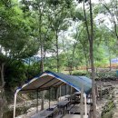 비악산식당 이미지