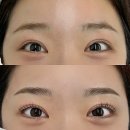 미유앤브로우 | [내돈내산] 가로수길 신사역 반영구 눈썹 타투 | 고도로 발달한 눈썹 문신은 진짜 눈썹과 비교할 수 없다