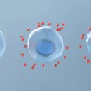 송도의원 이미지