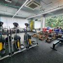 올레이디짐 가오리점 이미지