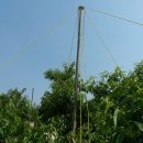 참새골농장 이미지