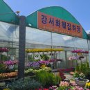 영화꽃화원 이미지