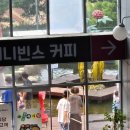 금산인삼종합직판장 | [거제여행] 서울 거제 고속버스 | 금산인삼랜드휴게소 먹거리 메뉴 후기