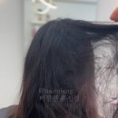 씨에스디자인 이미지