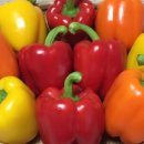 횡성의료기 이미지