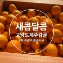 마소물로 | [제주감귤택배] 새콤달콤 제주감귤🍊10kg 구매후기 &#34;제주원택&#34;