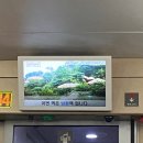 남원•하동_1박2일 :: 남원 광한루, 하동 화개장터, 생활한복, 하동 맛집, 도시고양이연구소, 동정호