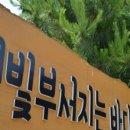 햇빛부서지는바다 이미지