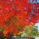 안양예술공원내 공영주차장 이미지