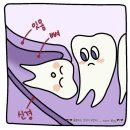 가든파이브서울치과의원 네이버블로그