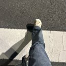 도룡 목장 | 2025.11