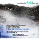 양지-16 Daum카페