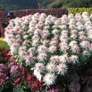 범어리 워터파크 이미지