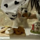 두몽언니 이미지