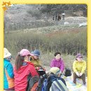 학산서원터 이미지