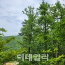 소호산촌협동조합 이미지