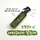 호텔향기 | 고급 호텔 향기 호텔굿즈 &#34;세이수이카 플로랄 탈취제&#34; 후기 🌸