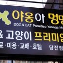 멍멍친구 애견샵 이미지
